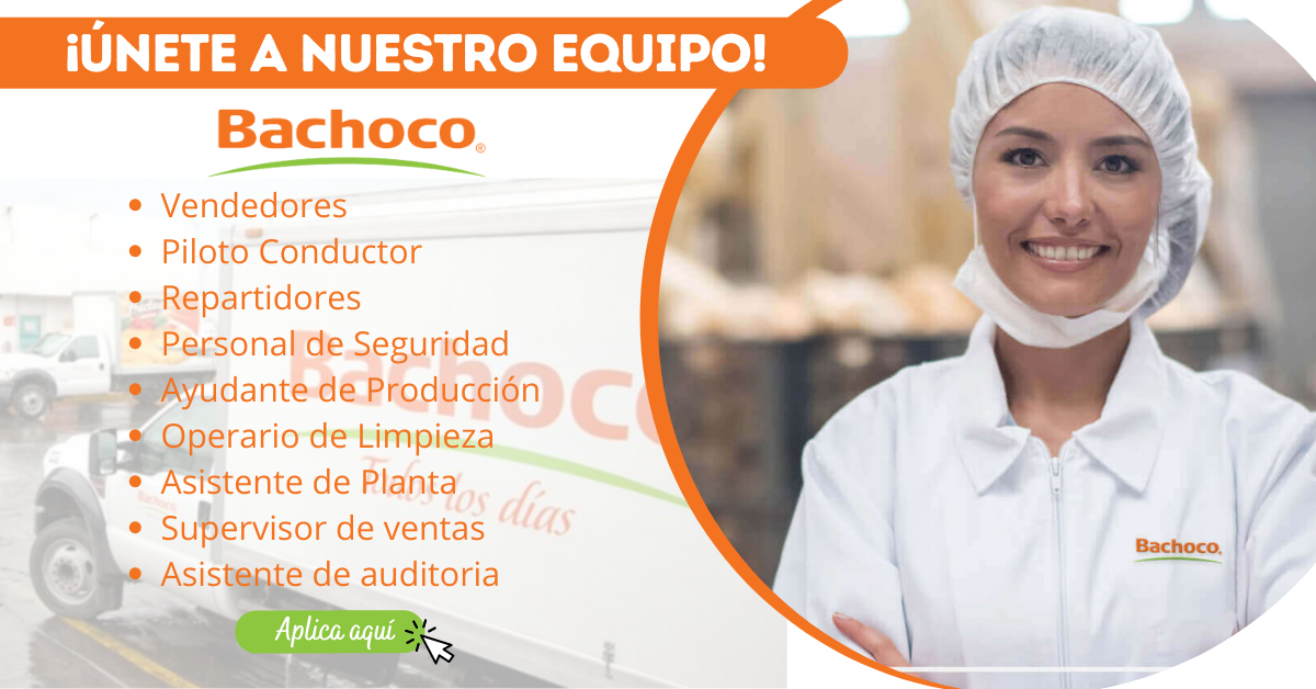 BACHOCO – CREA NUEVA CAMPAÑA LABORAL